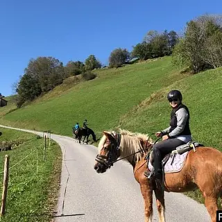Vorschaubild Nr. 1 zu Reitbeteiligung in 7156 Rueun
