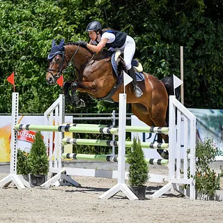 Vorschaubild Nr. 2 zu Reitbeteiligung in 3608 Thun