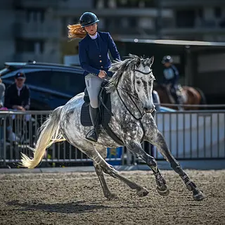Vorschaubild Nr. 1 zu Reitbeteiligung in 8320 Fehraltorf