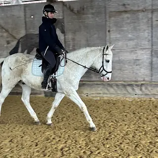 Vorschaubild Nr. 1 zu Reitbeteiligung in 5417 Untersiggenthal