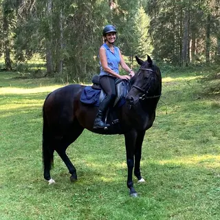 Vorschaubild Nr. 1 zu Reitbeteiligung in 9225 Wilen (Gottshaus)