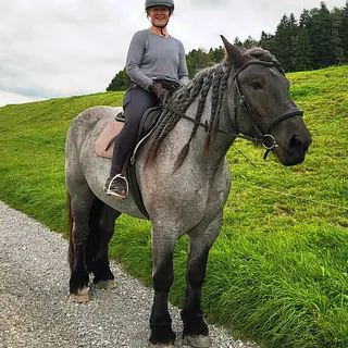 Vorschaubild Nr. 1 zu Reitbeteiligung in 9242 Oberuzwil