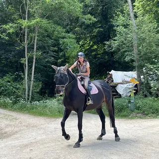 Vorschaubild Nr. 1 zu Reitbeteiligung in 4628 Wolfwil