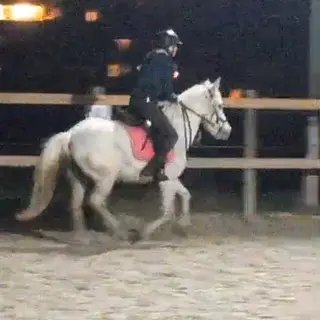 Vorschaubild Nr. 1 zu Reitbeteiligung in 6026 Rain