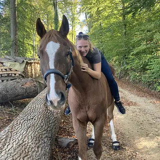 Vorschaubild Nr. 2 zu Reitbeteiligung in 3302 Moosseedorf
