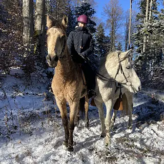 Vorschaubild Nr. 1 zu Reitbeteiligung in 4208 Nunningen
