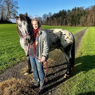 Vorschaubild Nr. 1 zu Reitbeteiligung in 8932 Mettmenstetten