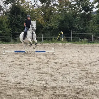 Vorschaubild Nr. 2 zu Reitbeteiligung in 4494 Oltingen
