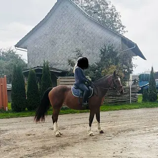 Vorschaubild Nr. 1 zu Reitbeteiligung in 9225 Wilen (Gottshaus)